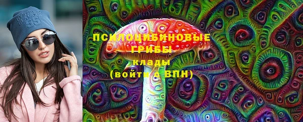 бутират Гусь-Хрустальный