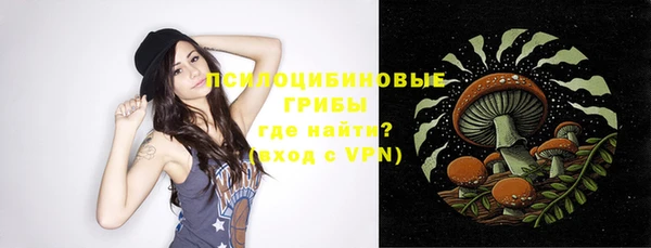 a pvp Гусев