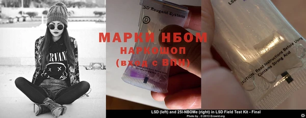 гидропоника Гусиноозёрск