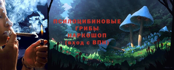 бутират Гусь-Хрустальный