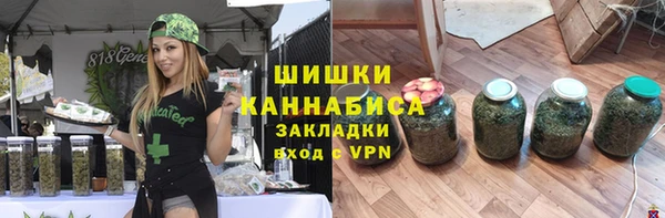 гидропоника Гусиноозёрск
